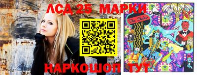гидра Краснодар