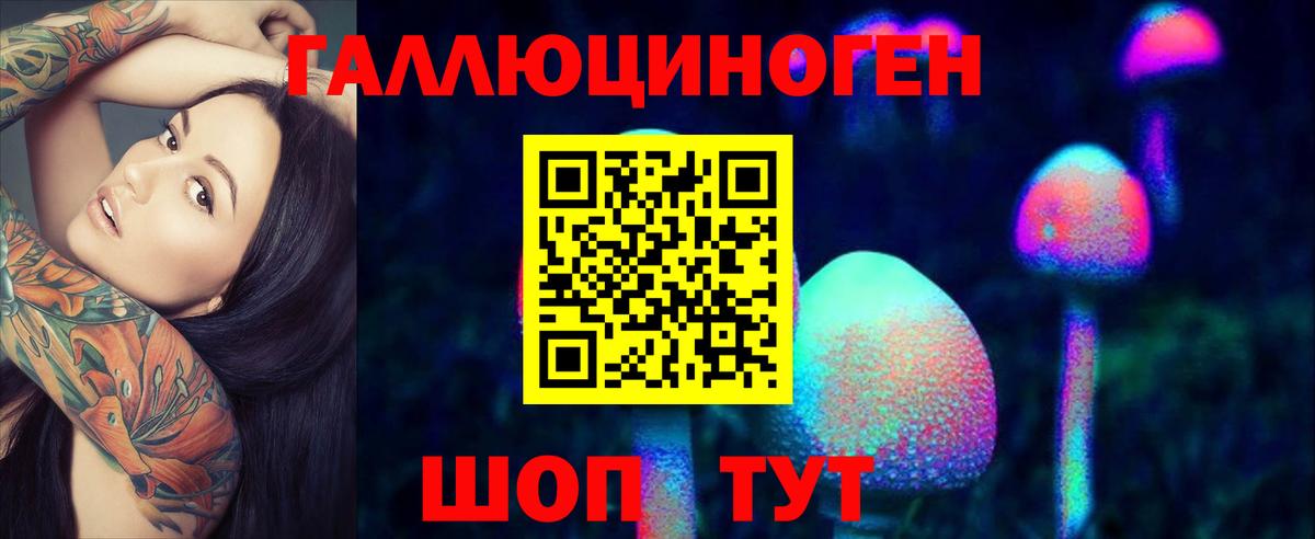 Галлюциногенные грибы Cubensis Йошкар-Ола